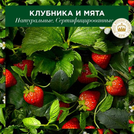 Бальзам-ополаскиватель (275мл) Herbal Essences Белая клубника и Сладкая мята для питания волос в интернет-магазине ГК Эксперт