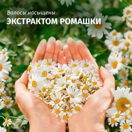 Шампунь (350мл) Herbal Essences Ромашка для гладких и блестящих волос в интернет-магазине ГК Эксперт