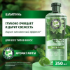 Шампунь (350мл) Herbal Essences Аромат мяты для очищения и свежести волос в интернет-магазине ГК Эксперт