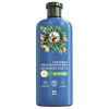 Шампунь (250мл) Herbal Essences Аргановое масло для глубокого восстановления волос в интернет-магазине ГК Эксперт