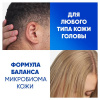Шампунь и бальзам-ополаскиватель (400мл) Head & Shoulders от перхоти 2 в 1 Ментол в интернет-магазине ГК Эксперт