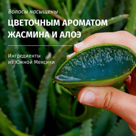 Бальзам-ополаскиватель (250мл) Herbal Essences Алоэ для увлажнения и укрепления волос в интернет-магазине ГК Эксперт