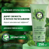 Бальзам-ополаскиватель (250мл) Herbal Essences Аромат мяты в интернет-магазине ГК Эксперт