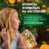 Шампунь (350мл) Herbal Essences Аромат апельсина для тонких, лишенных объема волос в интернет-магазине ГК Эксперт