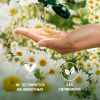 Шампунь (350мл) Herbal Essences Ромашка для гладких и блестящих волос в интернет-магазине ГК Эксперт