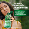 Бальзам-ополаскиватель (250мл) Herbal Essences Аромат мяты в интернет-магазине ГК Эксперт