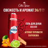 Мужской гель для душа + шампунь 3 в 1 (400мл) Old Spice Whitewater в интернет-магазине ГК Эксперт